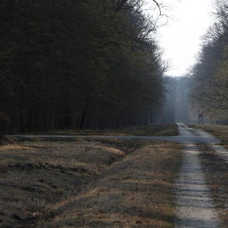 Апартаменты Sobe Pilajevo 2, 183 Ulica Stjepana Radica, Gola Экстерьер фото